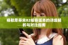 杨敏思带来82板各版本的详细解析与对比指南