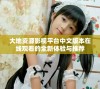 大地资源影视平台中文版本在线观看的全新体验与推荐
