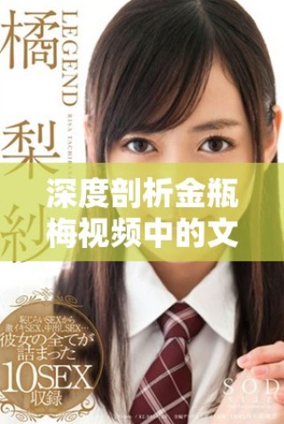 深度剖析金瓶梅视频中的文化内涵与艺术表现形式