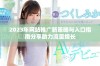 2023年网站推广新策略与入口指南分享助力流量增长