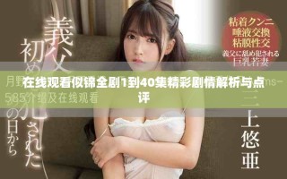 在线观看似锦全剧1到40集精彩剧情解析与点评