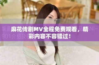 麻花传剧MV全程免费观看，精彩内容不容错过！