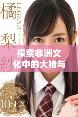 探索非洲文化中的大猪与女性角色的独特联系