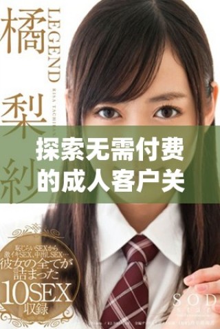 探索无需付费的成人客户关系管理系统的优势与功能