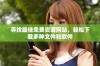 寻找最佳免费资源网站，轻松下载多种文件和软件
