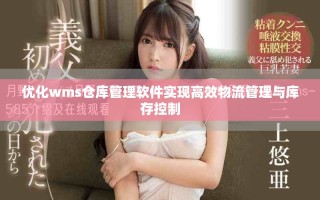 优化wms仓库管理软件实现高效物流管理与库存控制
