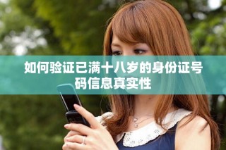 如何验证已满十八岁的身份证号码信息真实性