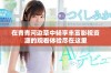 在青青河边草中畅享丰富影视资源的观看体验尽在这里