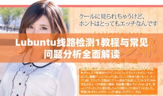 Lubuntu线路检测1教程与常见问题分析全面解读