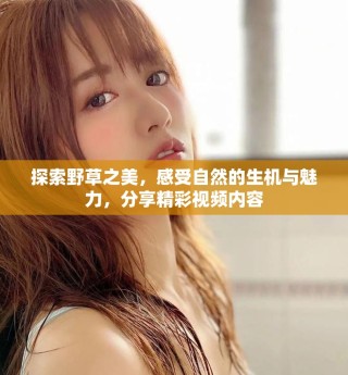探索野草之美，感受自然的生机与魅力，分享精彩视频内容