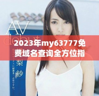 2023年my63777免费域名查询全方位指南与技巧分享