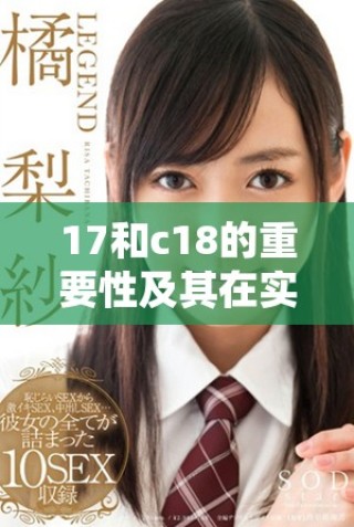 17和c18的重要性及其在实际应用中的探讨