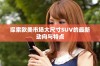 探索欧美市场大尺寸SUV的最新动向与特点