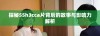探秘55h3cca片背后的故事与影响力解析