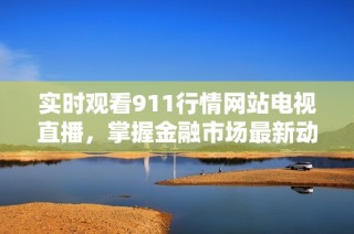 实时观看911行情网站电视直播，掌握金融市场最新动态与资讯