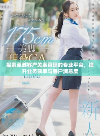 探索卓越客户关系管理的专业平台，提升业务效率与客户满意度