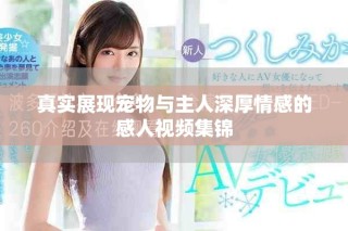 真实展现宠物与主人深厚情感的感人视频集锦
