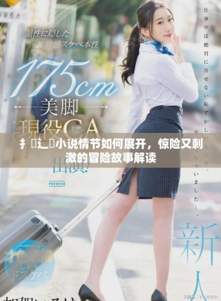 扌喿辶畐小说情节如何展开，惊险又刺激的冒险故事解读