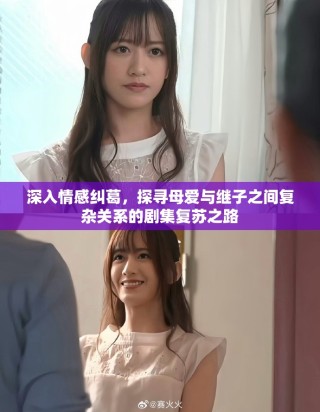 深入情感纠葛，探寻母爱与继子之间复杂关系的剧集复苏之路