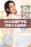 2023年国产手机市场十大品牌排名与推荐解析