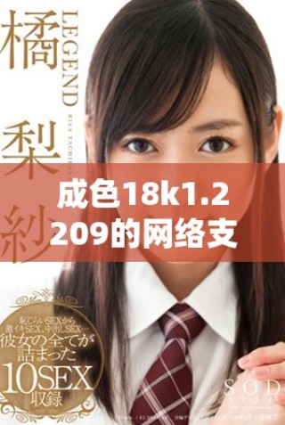 成色18k1.2209的网络支持到底是5G还是4G呢