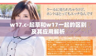 w17.c-起草和w17一起的区别及其应用解析