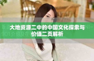 大地资源二中的中国文化探索与价值二页解析