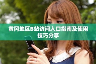 黄冈地区B站访问入口指南及使用技巧分享