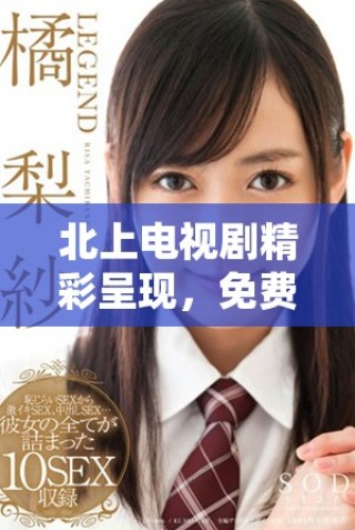 北上电视剧精彩呈现，免费观看带你畅享视觉盛宴与情感共鸣
