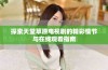 探索天堂草原电视剧的精彩情节与在线观看指南