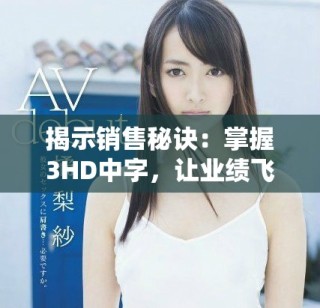 揭示销售秘诀：掌握3HD中字，让业绩飞升的秘密技巧与策略