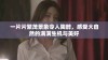 一片片繁茂景象令人陶醉，感受大自然的满满生机与美好