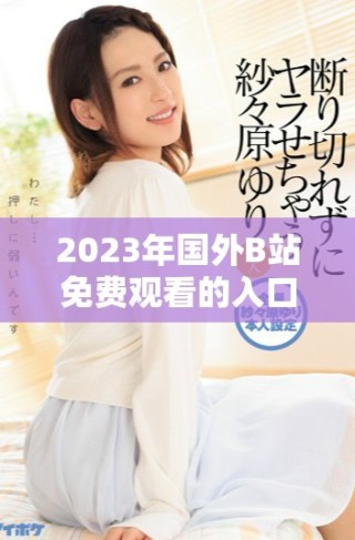 2023年国外B站免费观看的入口与使用技巧解析