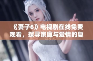 《妻子6》电视剧在线免费观看，探寻家庭与爱情的复杂关系与挑战