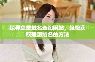 探寻免费域名查询网站，轻松获取理想域名的方法