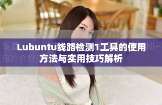 Lubuntu线路检测1工具的使用方法与实用技巧解析