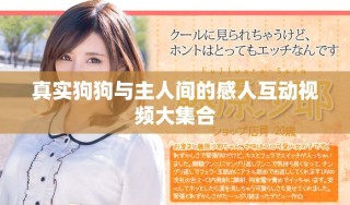 真实狗狗与主人间的感人互动视频大集合