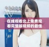 在线观看北上免费观看完整版视频的最佳平台推荐