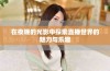 在夜晚的光影中探索直播世界的魅力与乐趣