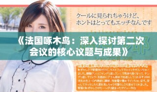 《法国啄木鸟：深入探讨第二次会议的核心议题与成果》