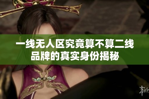 一线无人区究竟算不算二线品牌的真实身份揭秘