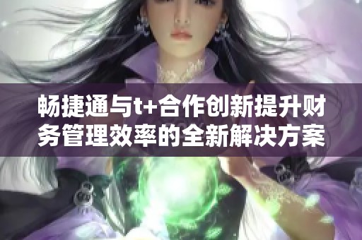 畅捷通与t+合作创新提升财务管理效率的全新解决方案