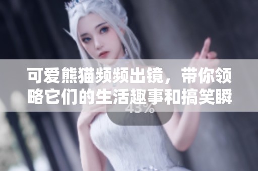 可爱熊猫频频出镜，带你领略它们的生活趣事和搞笑瞬间