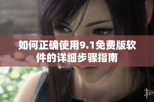 如何正确使用9.1免费版软件的详细步骤指南