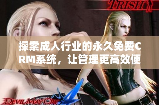 探索成人行业的永久免费CRM系统，让管理更高效便捷