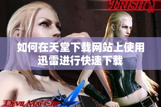 如何在天堂下载网站上使用迅雷进行快速下载