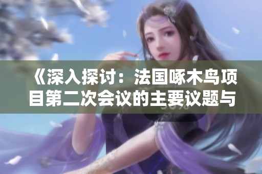 《深入探讨：法国啄木鸟项目第二次会议的主要议题与成果》