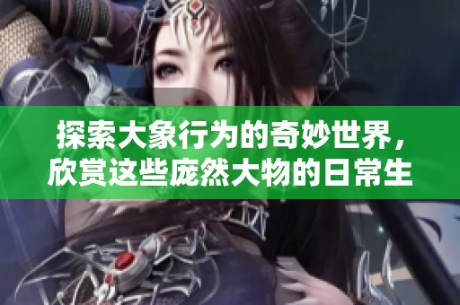 探索大象行为的奇妙世界，欣赏这些庞然大物的日常生活录像