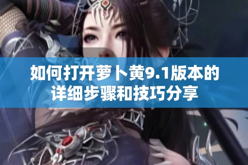 如何打开萝卜黄9.1版本的详细步骤和技巧分享