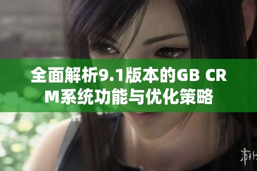 全面解析9.1版本的GB CRM系统功能与优化策略
